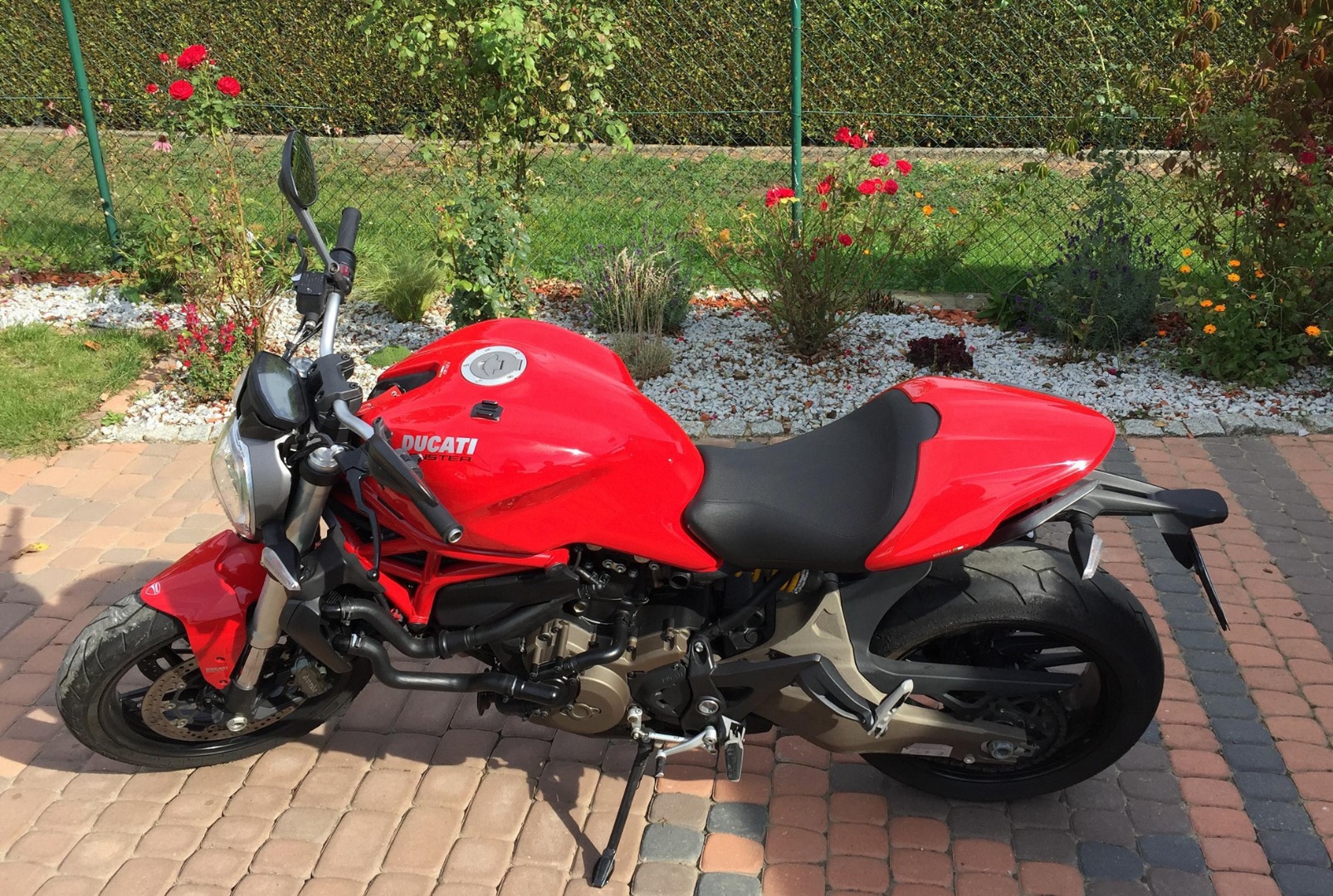 Ducati best sale monster 825