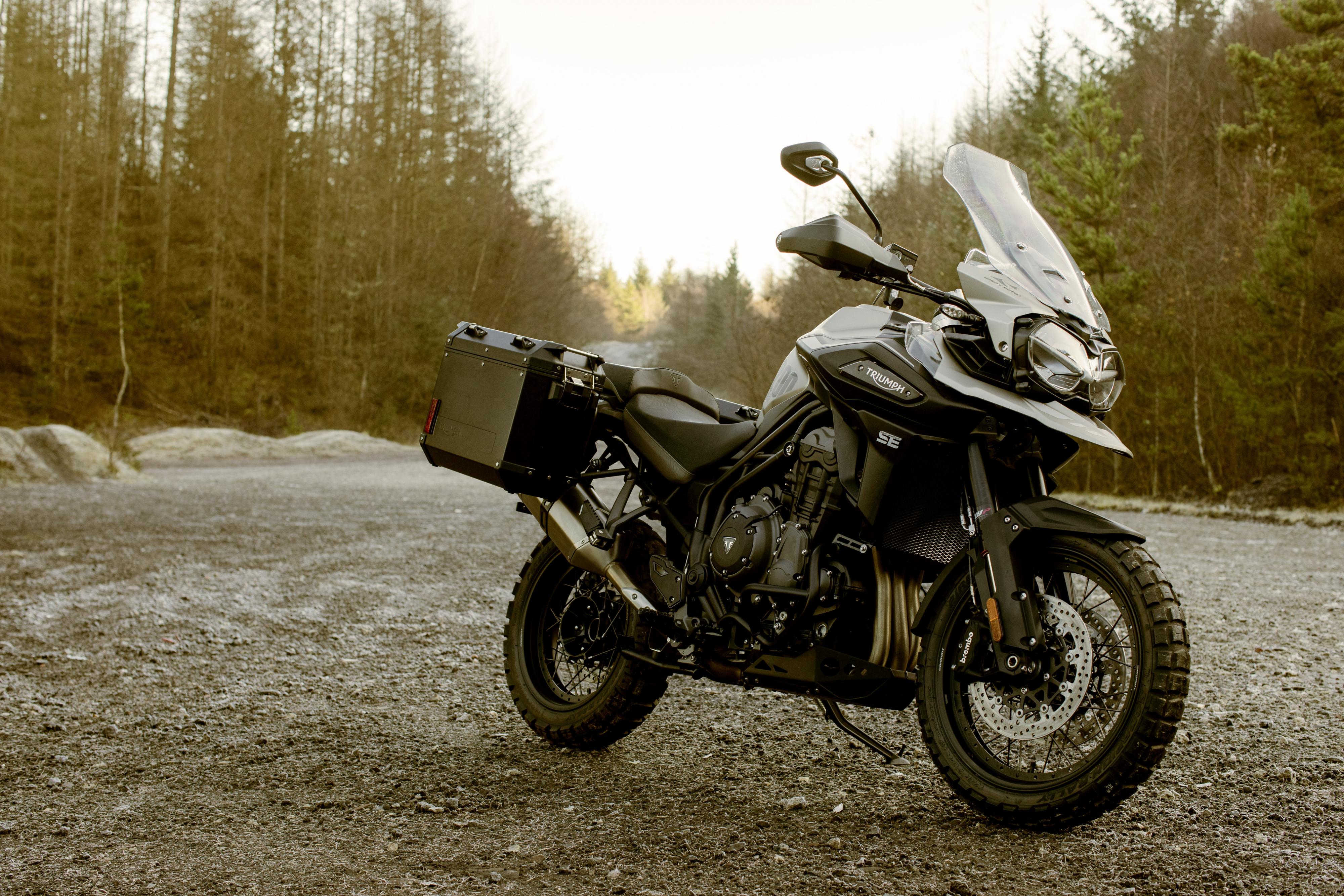 triumph tiger 1200 desert edition for sale