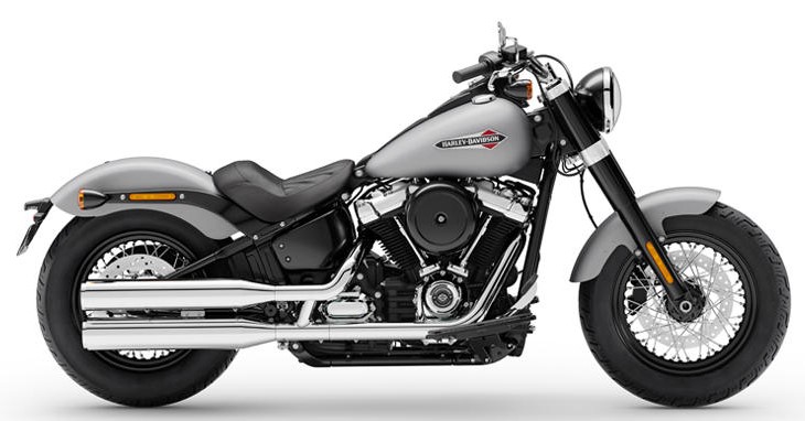 Harley davidson softail slim sales for sale